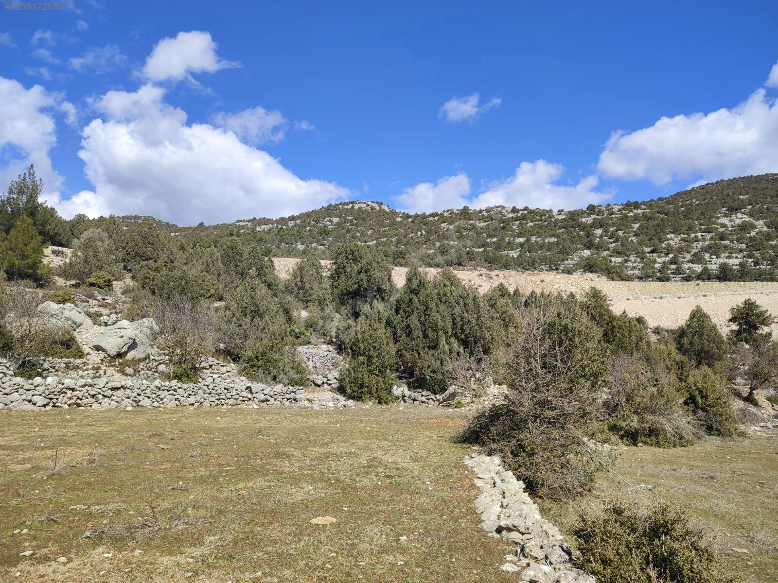 Antalya / Akseki / Alaçeşme Mhahallesinde 1.811 m² SATILIK ARSA  - ANTALYA AKSEKİ fotoğraf 12