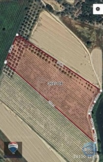 Kuşadası Değirmendere’de Satılık 12.400 m² Bağ, Zeytin ve Ceviz Bahçesi - AYDIN KUŞADASI fotoğraf 10