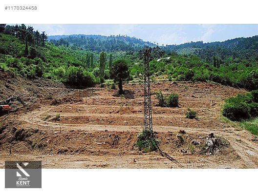 Kemalpaşa Atatürk Kozludere Satılık 6.543 m2 Arazi - İZMİR KEMALPAŞA fotoğraf 31