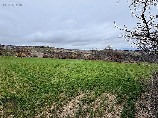 SAMSUN VEZİRKÖPRÜ ÇAMLIDERE'DE 6.670 M2 UYGUN ARSA - SAMSUN VEZİRKÖPRÜ fotoğraf 17