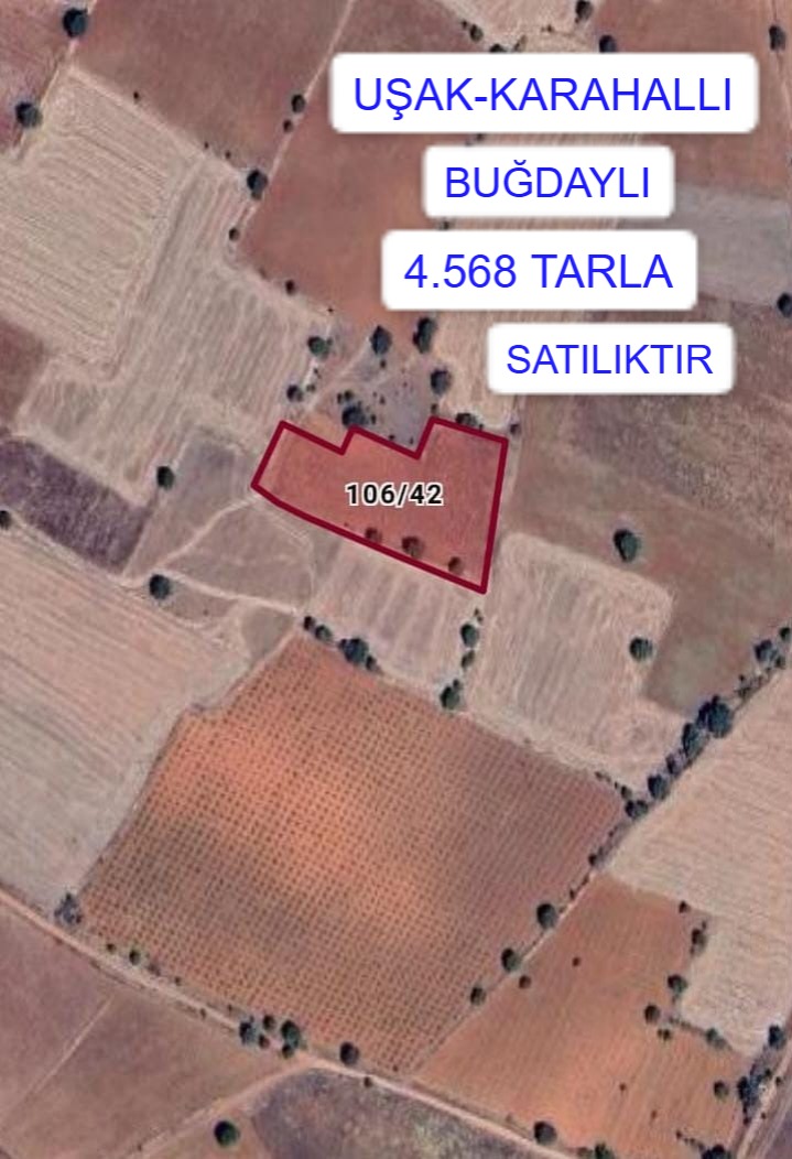 UŞAK KARAHALLI BUĞDAYLI MAH.4.568M² TARLA SATILIKTIR - UŞAK KARAHALLI fotoğraf 3