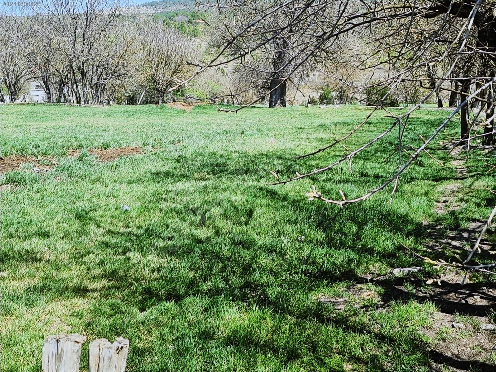 Cadde Emlaktan Yazıköy de Satılık 837m² Tarla - KARABÜK SAFRANBOLU fotoğraf 7