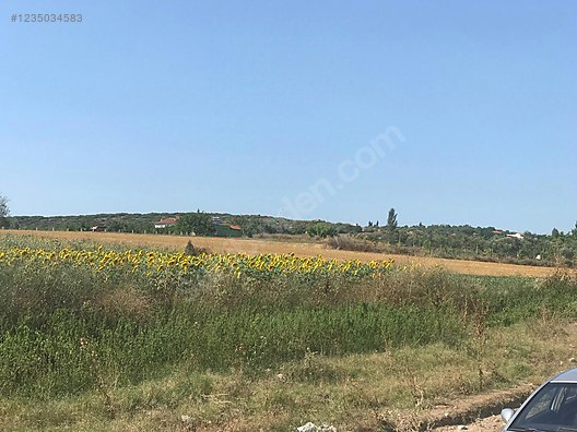 BURSA KARACABEY HARMANLI KÖYÜNDE 2.500  M² TARLA SATILIKTIR - BURSA KARACABEY fotoğraf 17