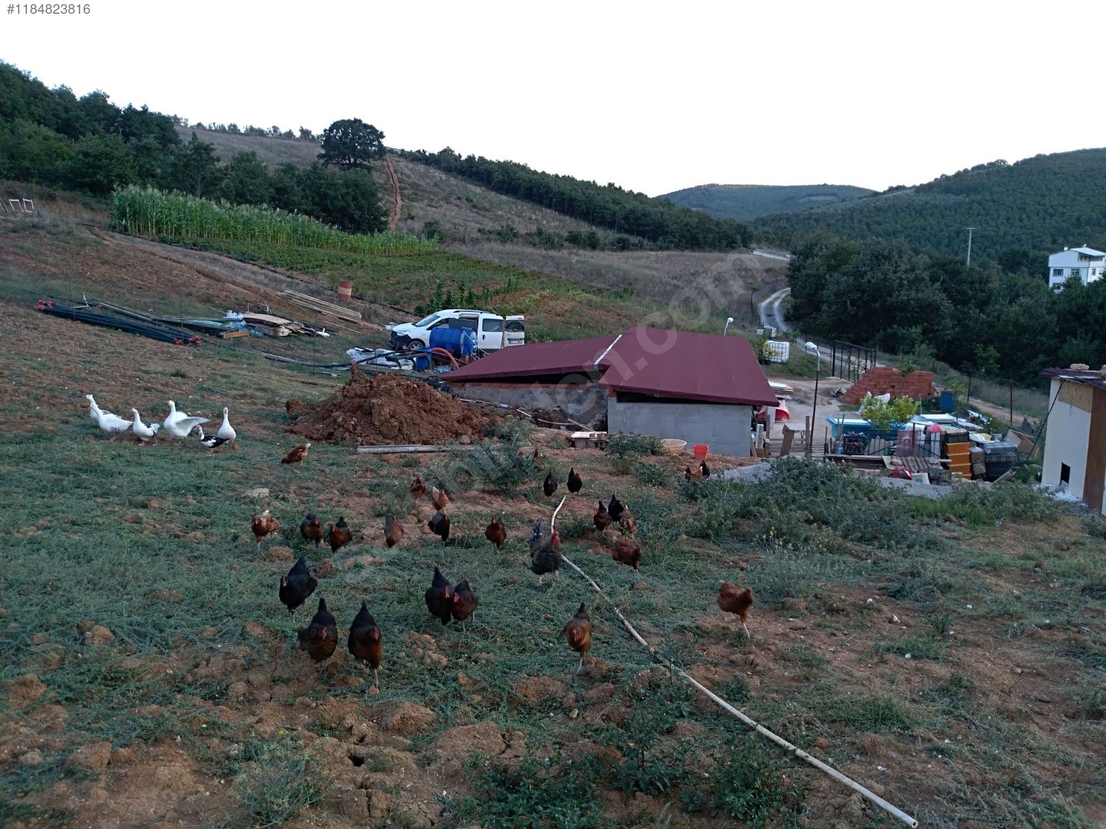 BURSA İZNİK BAYINDIR KÖYÜNDE 5.808 M² TARLA SATILIKTIR - BURSA İZNİK fotoğraf 14