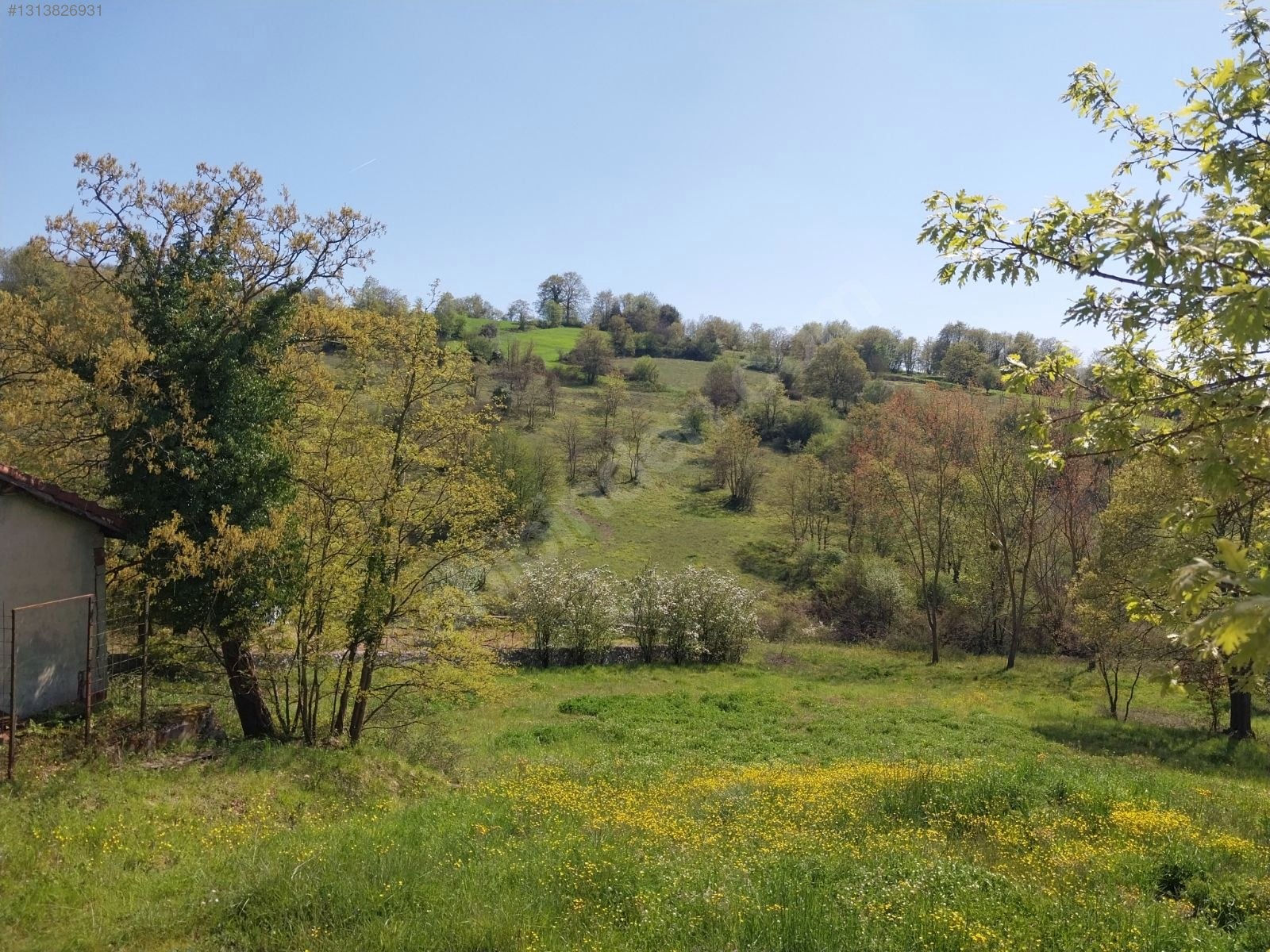 GEBZE AHATLI KÖYÜNDE 21 DÖNÜM ŞİLE SINIRI TARLA - KOCAELİ GEBZE fotoğraf 23