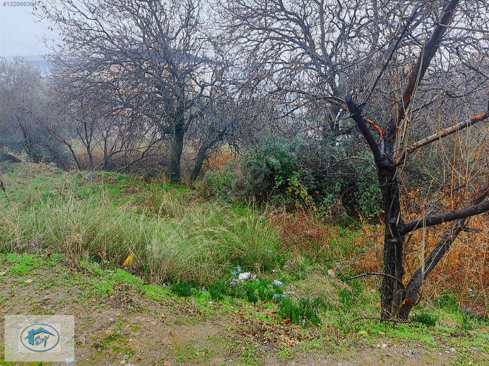 FİYAT DÜŞTÜ! BELEDİYE SOKAĞINDA, SATILIK 506 m2 ARSA - AYDIN BOZDOĞAN fotoğraf 2