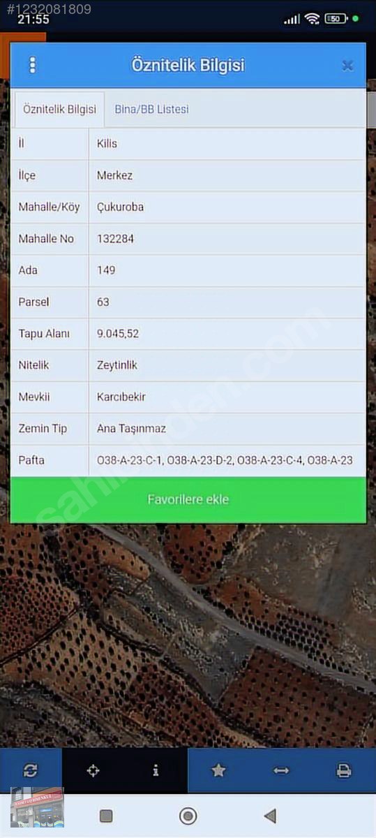 75 agac Zeytinlik cukur oba tapulu yatırım yapmak için fırsat - KİLİS MERKEZ fotoğraf 5