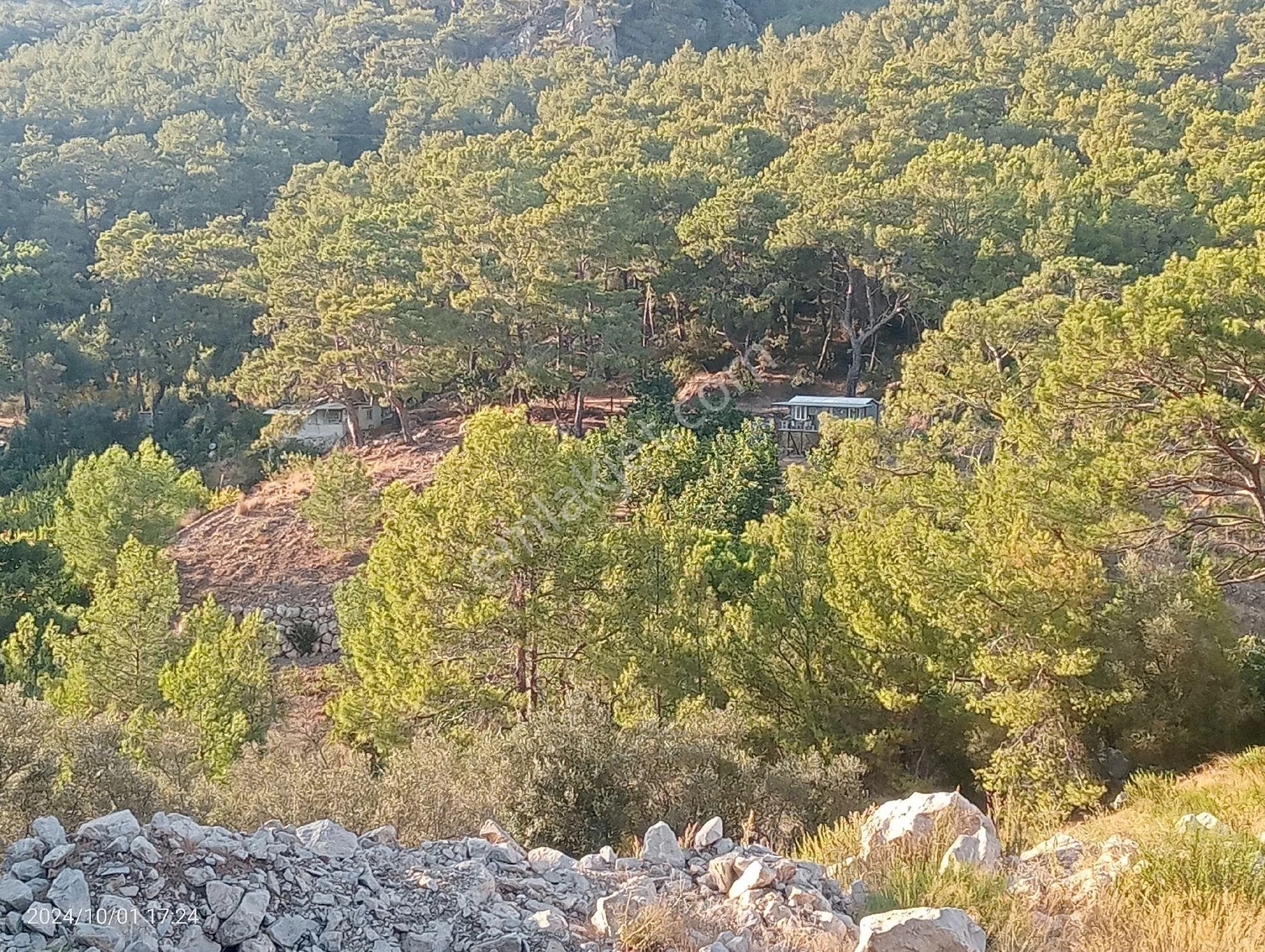 Antalya Kumluca Mavikent'te Satılık Tarla İnceoğlu Emlak - ANTALYA KUMLUCA fotoğraf 31