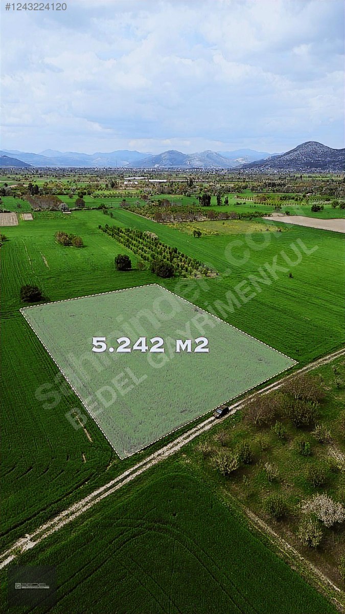 SATILIK BUCAK GÜNDOĞDU BELDESİNDE 5240 M2 TARLA - BURDUR BUCAK fotoğraf 4