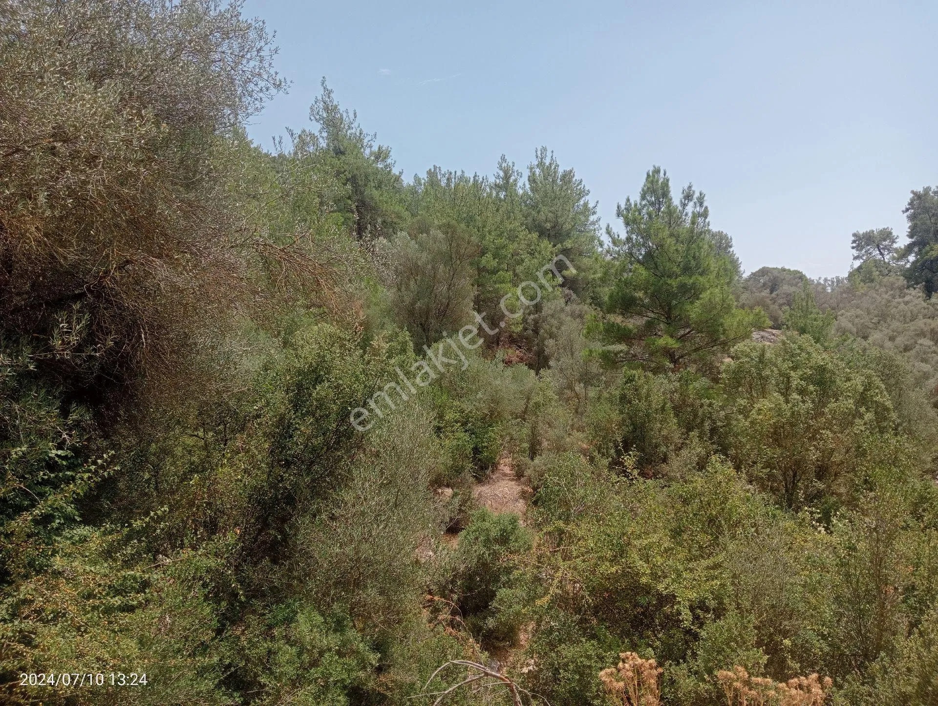Antalya Kumluca Orta Köyde Satılık Tarla İnceoğlu Emlak - ANTALYA KUMLUCA fotoğraf 12