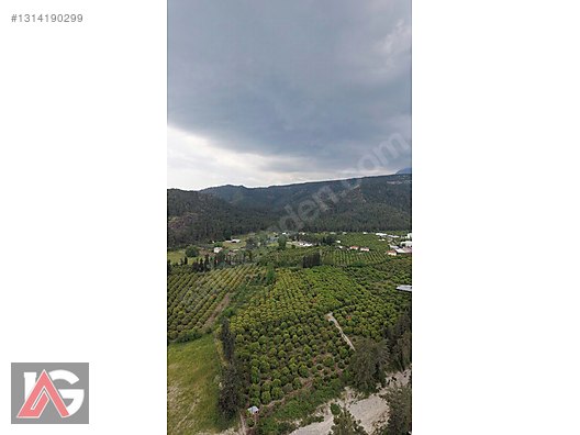 Kemer Kuzderede Yatırımlık & Verimli 15 Dönüm Narenciye Bahçesi - ANTALYA KEMER fotoğraf 28