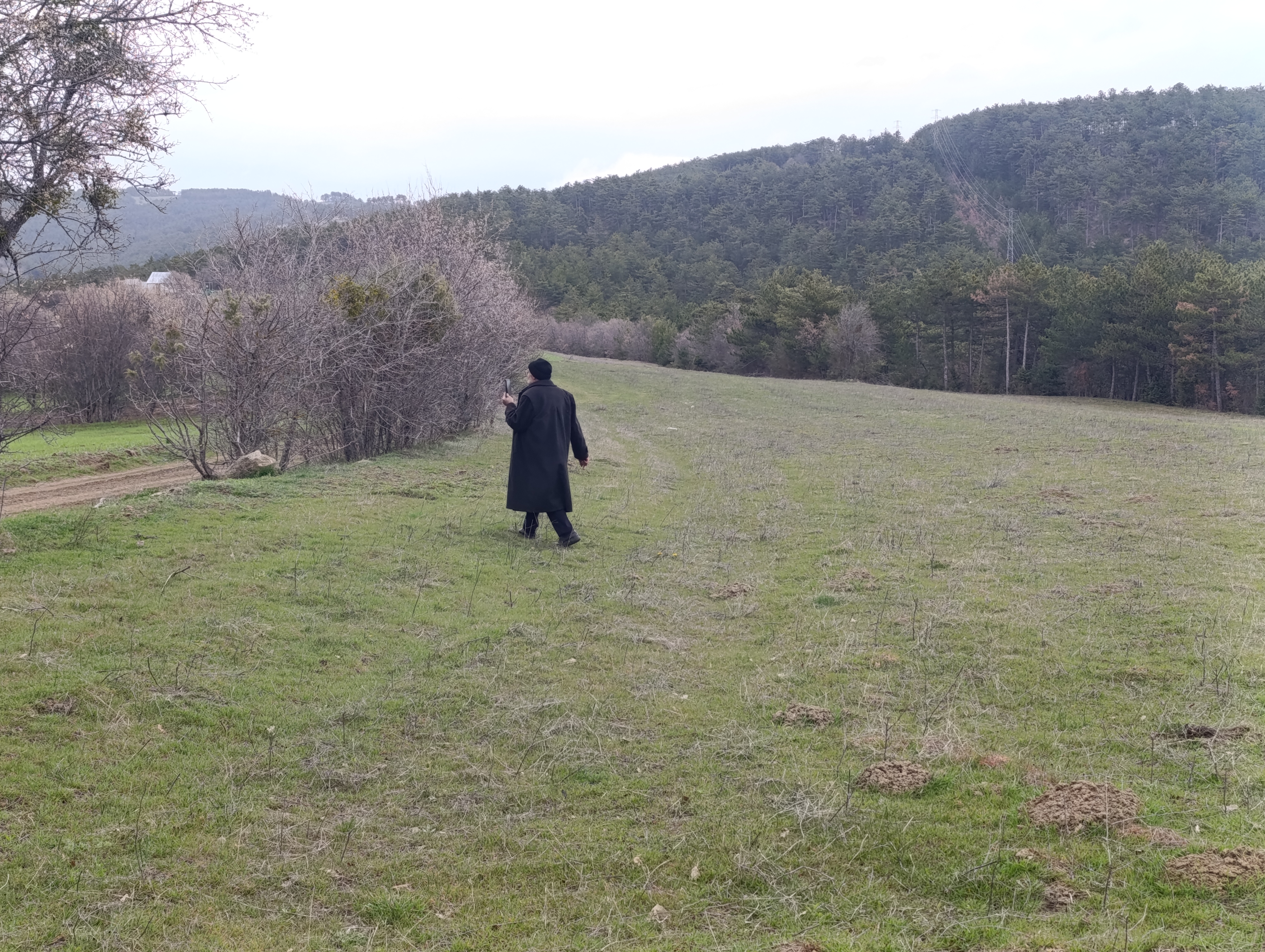 BOLU GÖYNÜK BOZCARMUT KÖYÜNDE KÜMES YERİ - BOLU GÖYNÜK fotoğraf 4