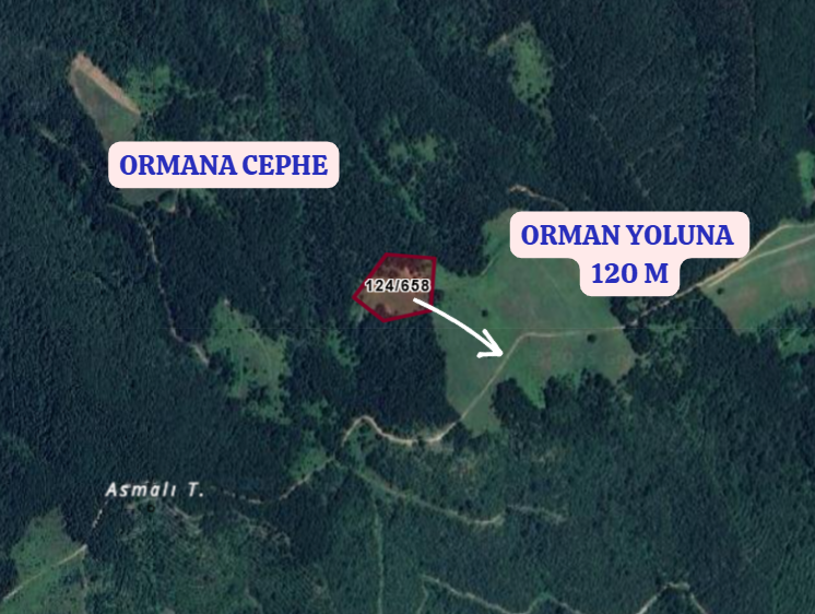 KOCAELİ KARAMÜRSEL AKÇAT   KÖYÜNDE 7.409  M²  TARLA SATILIKTIR - KOCAELİ KARAMÜRSEL fotoğraf 3