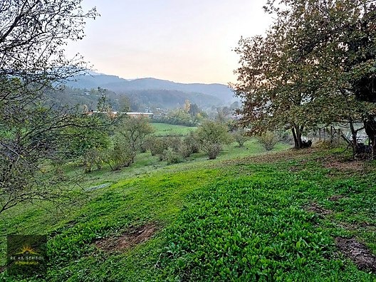 SAKARYA-KARAPÜRÇEK-MESUDİYE MAHALLE MERKEZİNDE SATILIK TARLA - SAKARYA KARAPÜRÇEK fotoğraf 9