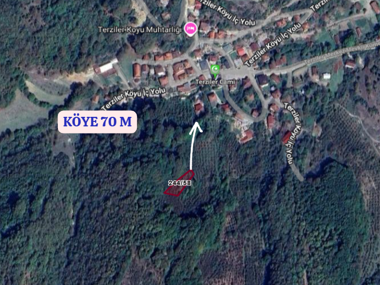 KOCAELİ DERİNCE TERZİLER   KÖYÜNDE  705   M²  BAHÇE  SATILIKTIR - KOCAELİ DERİNCE fotoğraf 6