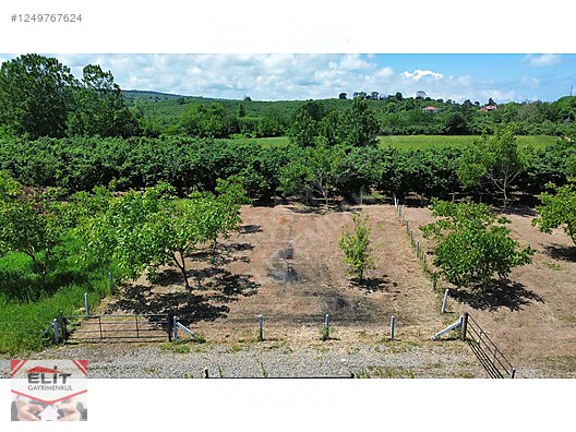KARASU KUYUMCULUDA SATILIK 463 M2 FIRSAT ARSA - SAKARYA KARASU fotoğraf 19