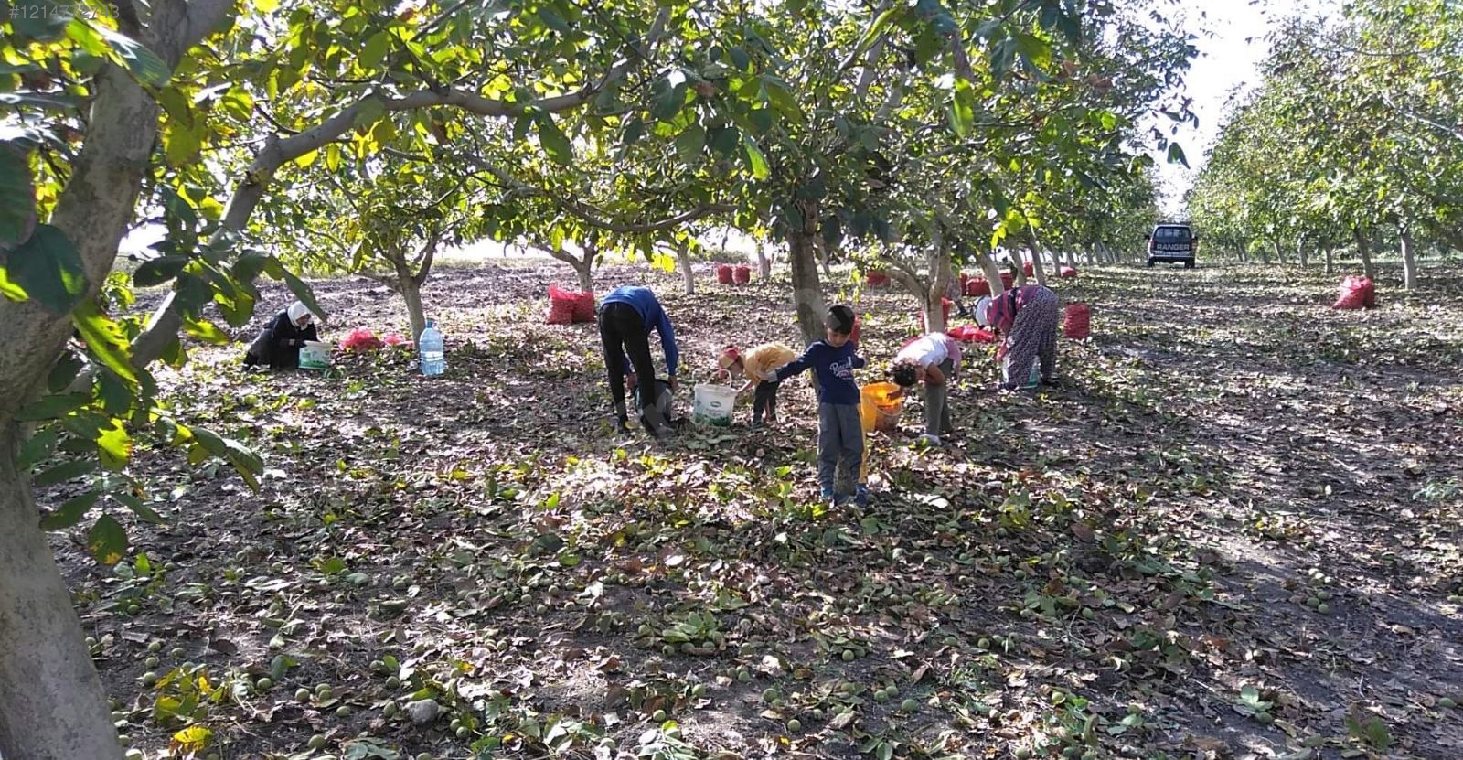 BURSA KARACABEY SUBAŞI KÖYÜNDE 6.000  M² TARLA SATILIKTIR - BURSA KARACABEY fotoğraf 22
