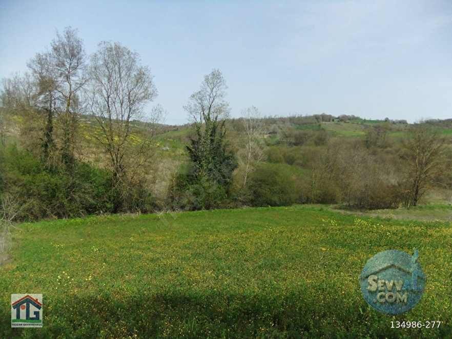 KOCAELİ/KANDIRA/AHMETHACILAR KÖYÜNDE SATILIK 2 PARSEL TARLA. - KOCAELİ KANDIRA fotoğraf 8