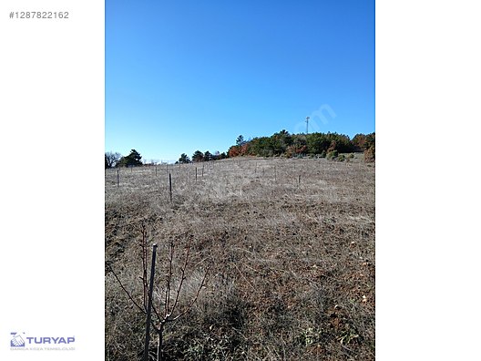 HİSARCIK OVASINDA 7,350 M2 ÇİFTLİK VE BAĞ EVİ İMARLI ARAZİ - BİLECİK OSMANELİ fotoğraf 12