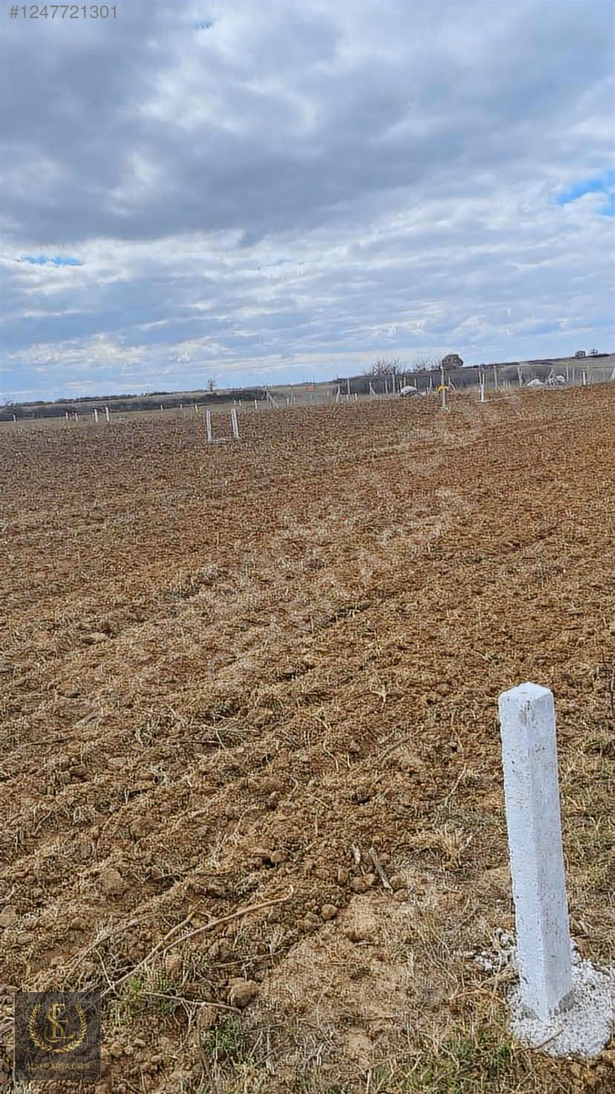 TEKİRDAĞ SARAY SOFULAR 350M2 - TEKİRDAĞ SARAY fotoğraf 4