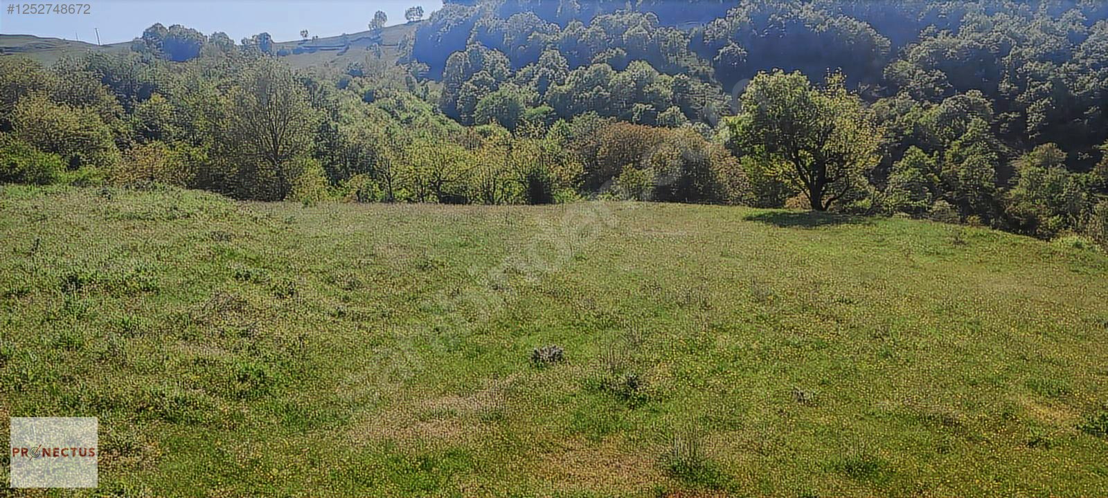 FULACIK MAHALLESİ'NDE RESMİ YOLA CEPHE SATILIK 3516 M2 ARSA - KOCAELİ KARAMÜRSEL fotoğraf 3