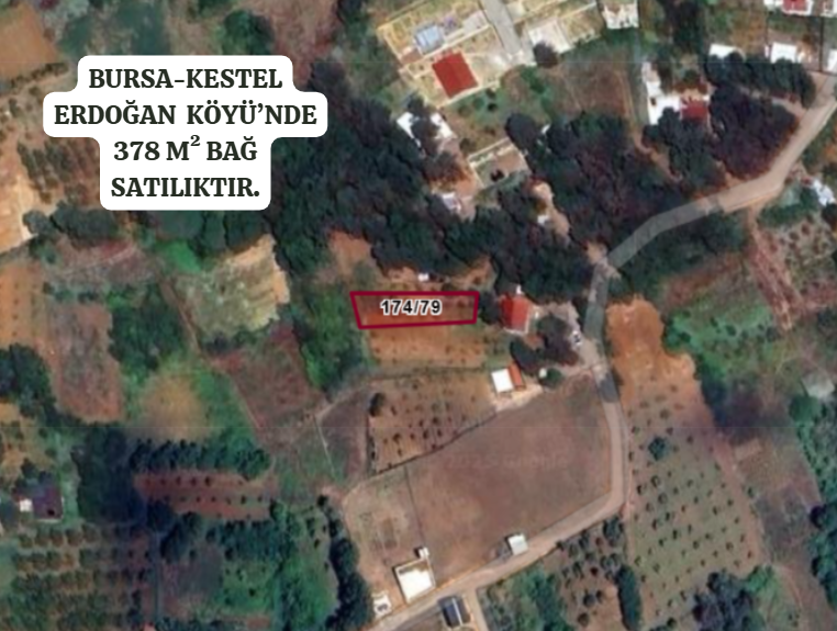 BURSA KESTEL ERDOĞAN  KÖYÜ’NDE 378 M²  BAĞ SATILIKTIR - BURSA KESTEL fotoğraf 2
