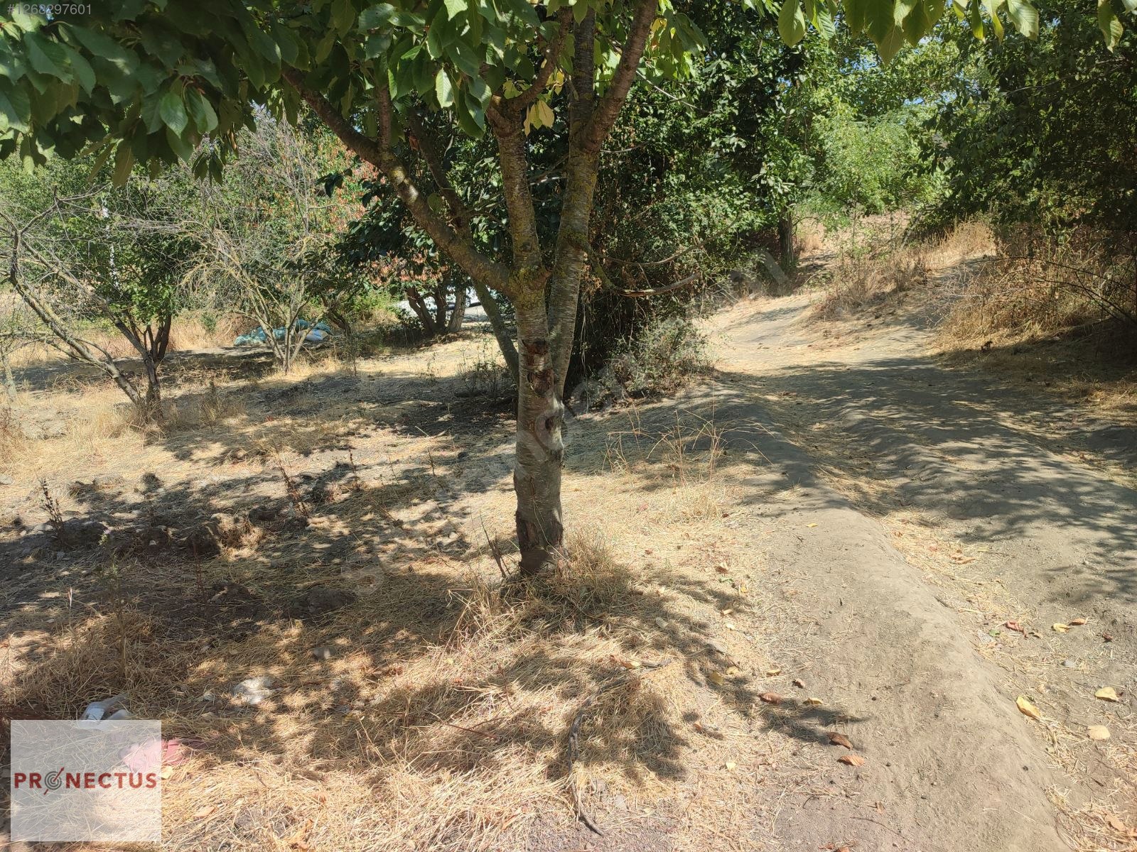 AVCIKÖY MAH. ASFALT YOLA CEPHE 2648 M2 KONUT İMARLI ARSA. - KOCAELİ KARAMÜRSEL fotoğraf 5