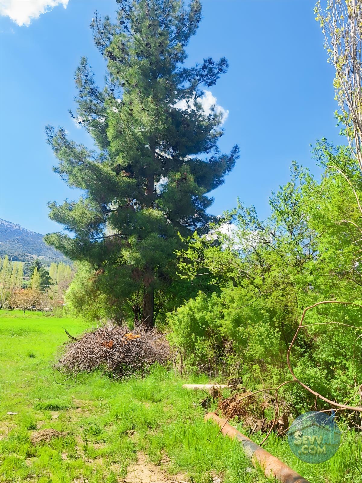 AĞLASUN KİBRİT KÖYÜNDE SATILIK FIRSAT ARAZİ - Burdur Ağlasun fotoğraf 24