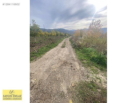 AMASYA MERKEZ DURUCA SATILIK TARLA 11.611 MK - AMASYA MERKEZ fotoğraf 5