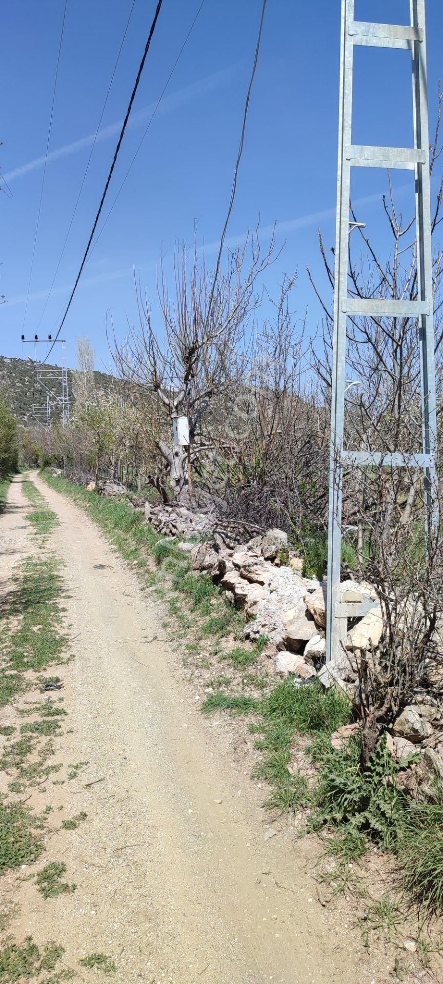 Acil Satılık !!! Burdur Ağlasun Hisarköy Muhteşem Konumda Tarlalar - BURDUR AĞLASUN fotoğraf 2