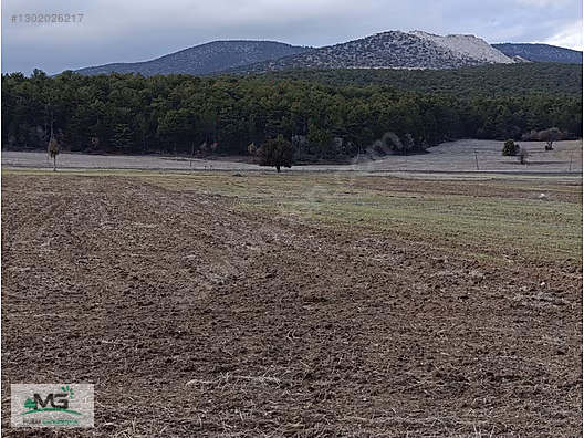 KÜTAHYA ALTINTAŞ PINARCIK KELEPİR ARSA - KÜTAHYA ALTINTAŞ fotoğraf 8