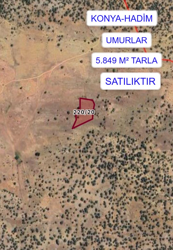 KONYA HADİM UMURLAR MAH. 5.849M² TARLA SATILIKTIR - KONYA HADİM fotoğraf 2