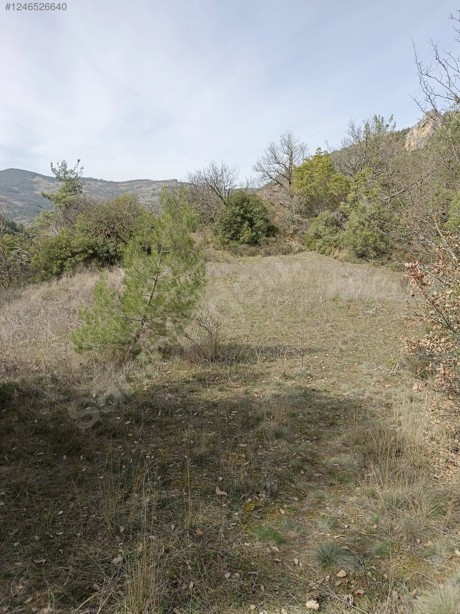 BURSA KELEŞ BELENÖREN'DE 551  M² BAHÇE SATILIKTIR - BURSA KELES fotoğraf 7