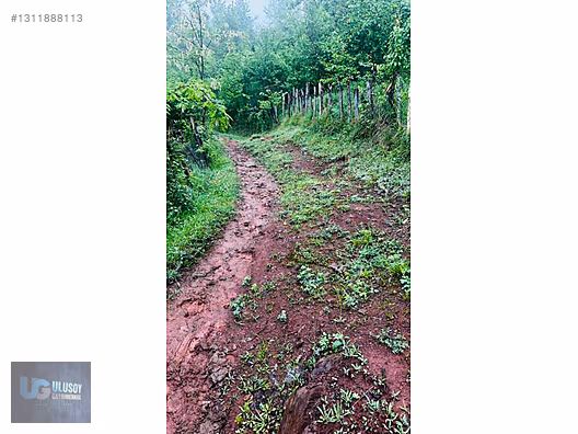 14 DÖNÜM TEK TAPU - BARTIN MERKEZ fotoğraf 13
