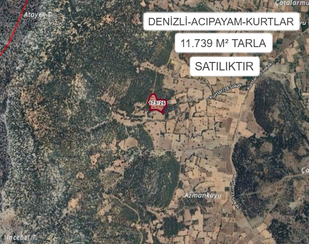DENİZLİ ACIPAYAM KURTLAR KÖYÜ’NDE 11.739 M² TARLA SATILIKTIR - DENİZLİ ACIPAYAM fotoğraf 2