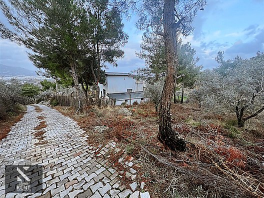 Kemalpaşa Armutlu Hürriyet Mah. Satılık 1.950 m2 Bahçe - İZMİR KEMALPAŞA fotoğraf 16