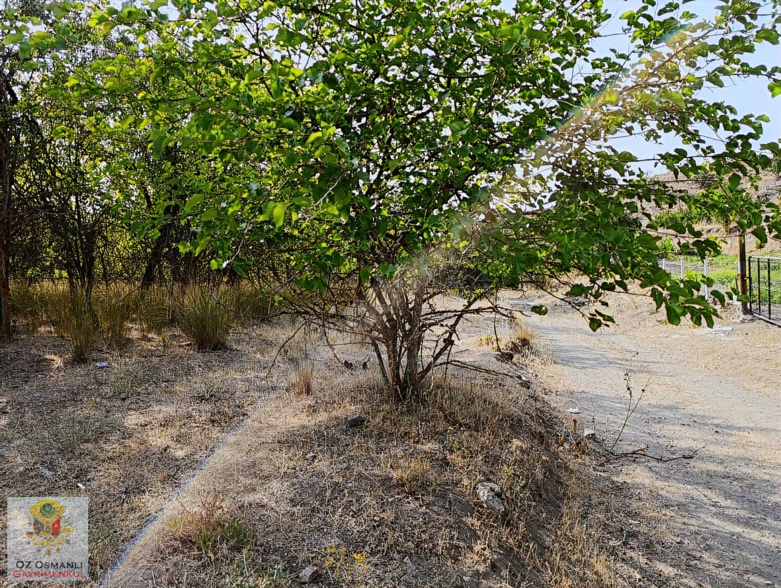 YOLU VE ÜCRETSİZ SUYU OLAN KAÇIRILMAYACAK BAYRAM KAMPANYASI - BİLECİK SÖĞÜT fotoğraf 11