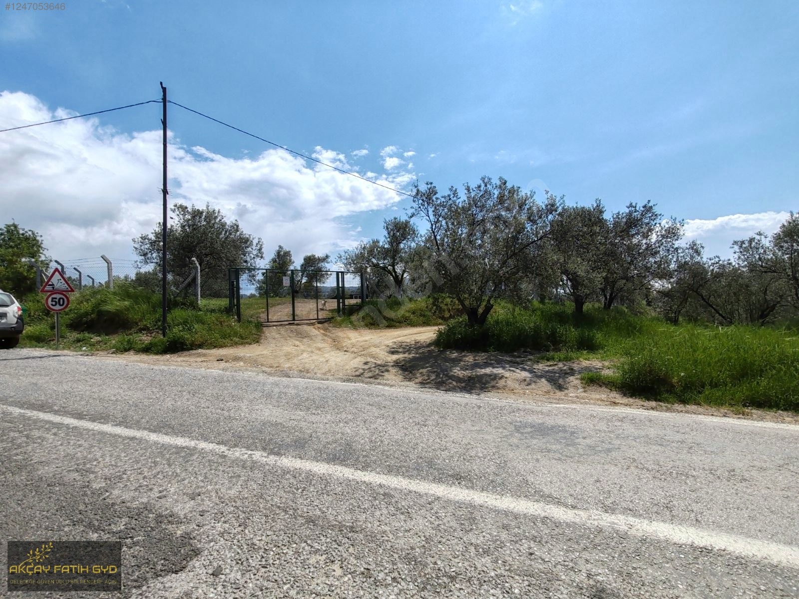 Hacıarslanlar da 3.100m2 SATILIK Kaçmaz Fırsat Zeytinlik - BALIKESİR EDREMİT fotoğraf 9