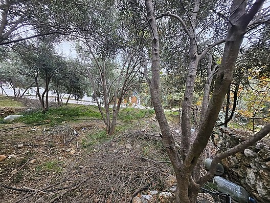 MUHTESEM LOKASYON 258M2 SUPER YATİRİM DUNYA GÖZBEBEĞİ VİLLA ARSA - MUĞLA FETHİYE fotoğraf 25
