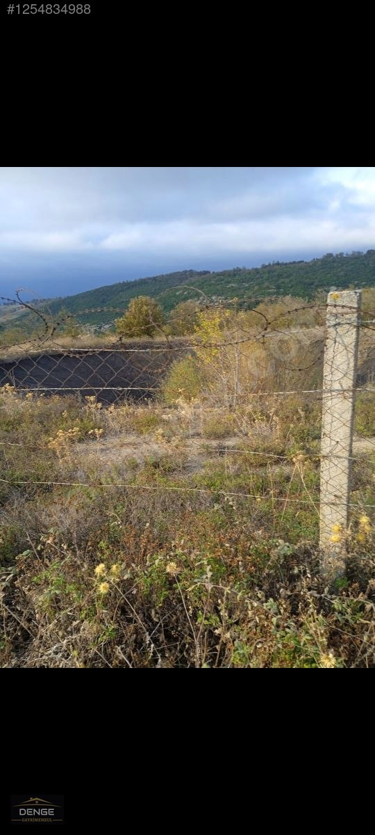 Denge Gayrimenkul BALIKESİR SUSURLUK GÜRECE'DE YATIRIMLIK ARAZİ - BALIKESİR SUSURLUK fotoğraf 6