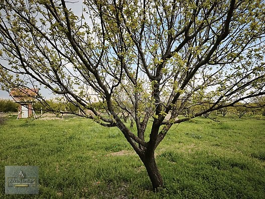 GÜVEN EMLAK'TAN KIRKPINAR KÖYÜNDE 692 PARSEL NOLU BAHÇE SATILIK - MALATYA YEŞİLYURT fotoğraf 7