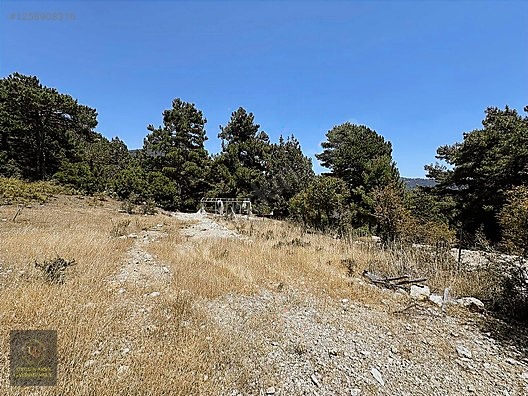 ANTALYA KAŞ YAYLAPALAMUT' DA 3.888 M2 UYGUN ARSA - ANTALYA KAŞ fotoğraf 5
