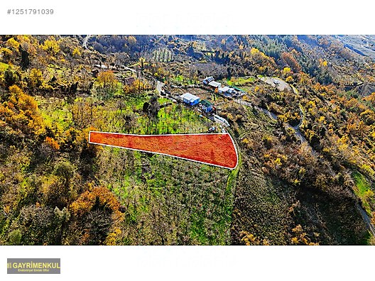 GEYVE DEREKÖYDE 1299 M2 SAKARYA NEHRİ MANZARALI TARLA - SAKARYA GEYVE fotoğraf 6