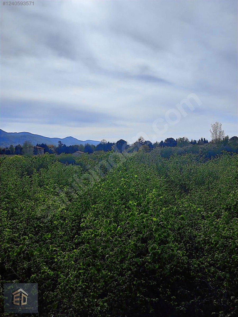 KOCAELİ KARTEPE'DE 0/25 VİLLA İMARLI ARSA - KOCAELİ KARTEPE fotoğraf 2