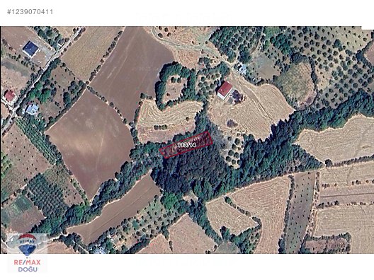 REMAX DOĞUDAN GÖZPINARI KÖYÜ 942 M2 HAZIR KURULU BAHÇE - ELAZIĞ MERKEZ fotoğraf 7