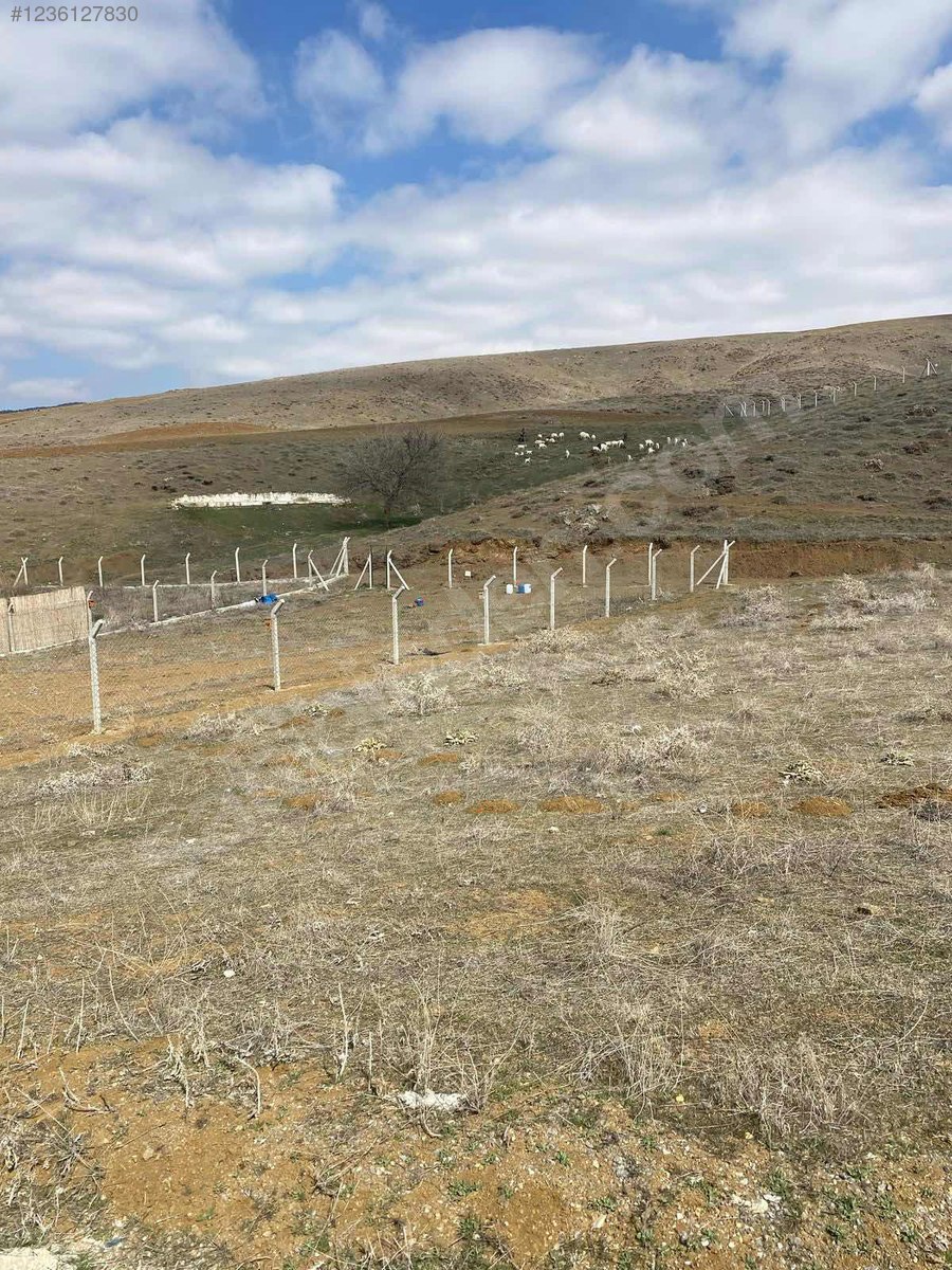 ANKARA ELMADAĞ HASANOĞLU HAVUZBAŞI KÖYÜNDE 600 M²  ARSA SATILIKTIR - ANKARA ELMADAĞ fotoğraf 17
