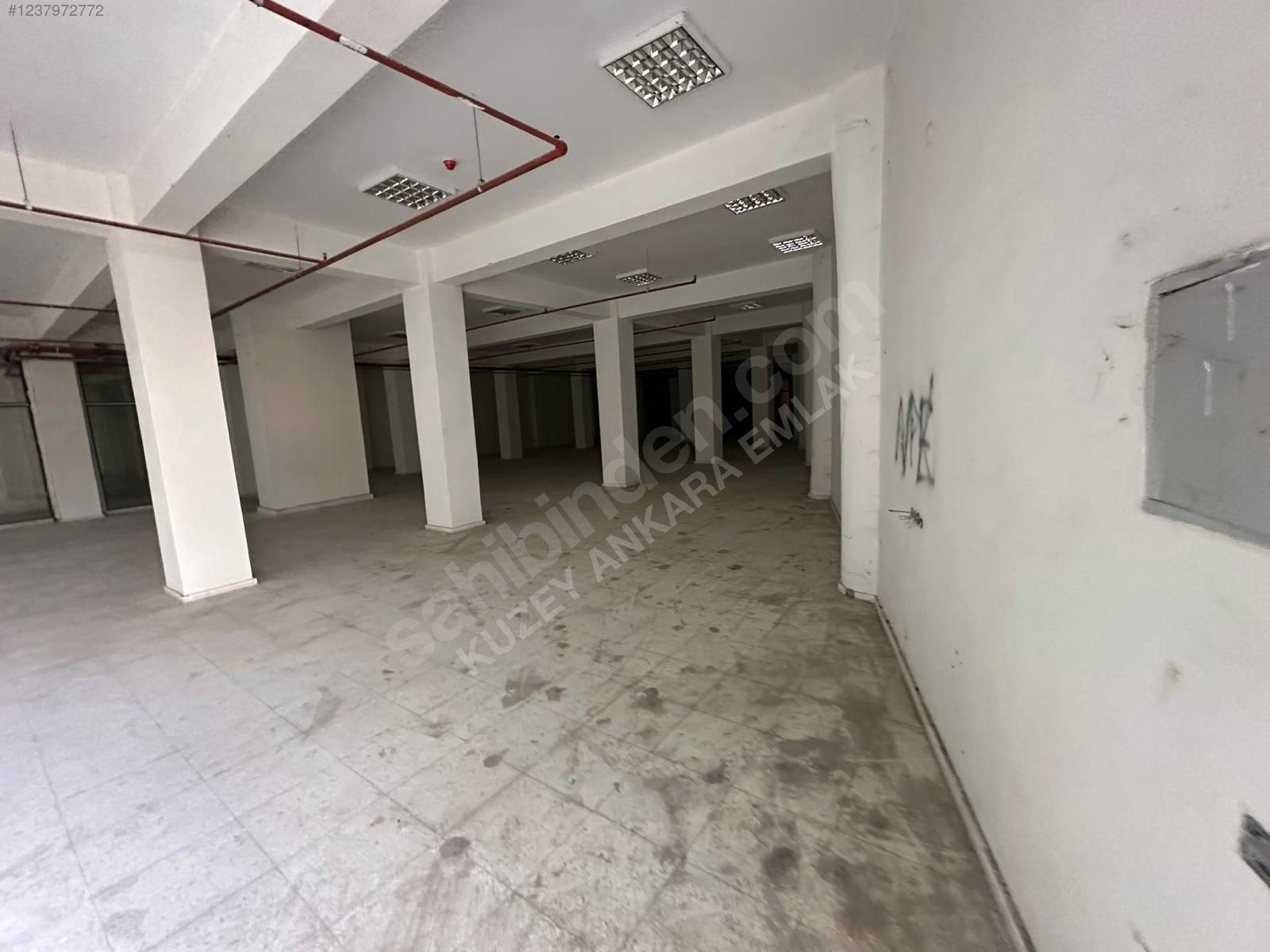 EYYUBİYE YENİCE 500M2 MUAZZAM GENİŞLİK HERİŞ KOLUNA UYGUN İŞYERİ - ŞANLIURFA EYYÜBİYE fotoğraf 32