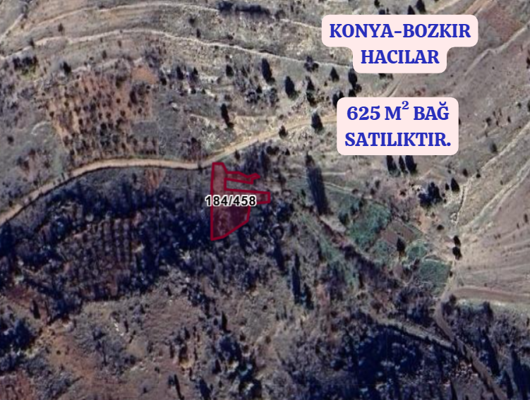 KONYA BOZKIR HACILAR  KÖYÜNDE 625 M² BAĞ  SATILIKTIR - KONYA BOZKIR fotoğraf 2