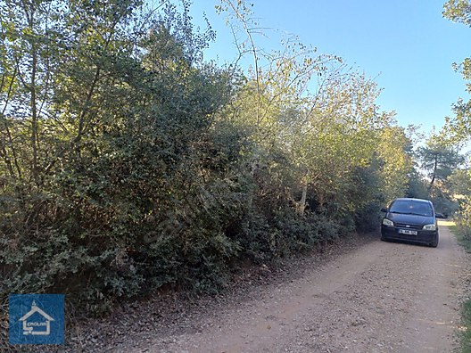 ÇAĞLAR'DAN TOPRAKDERE DE 823m2 MÜSTAKİL TARLA YOL+SU VAR - BURSA YENİŞEHİR fotoğraf 8