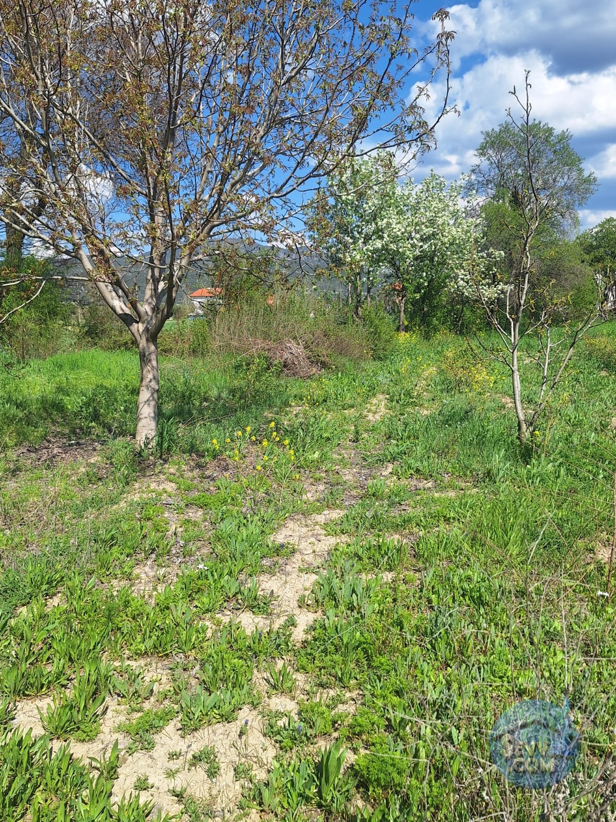 AĞLASUN KİBRİT KÖYÜNDE SATILIK FIRSAT ARAZİ - Burdur Ağlasun fotoğraf 31
